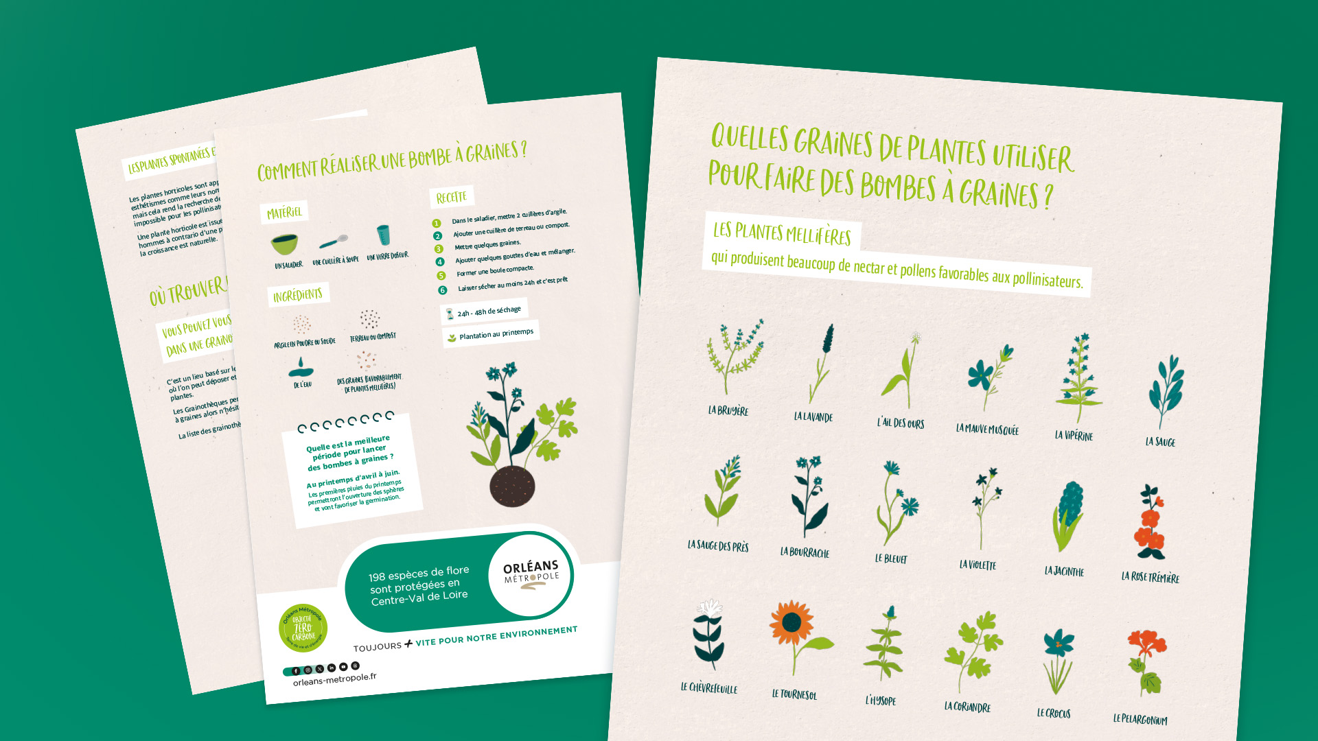 mise en pag d'un tutoriel pour la fabrication de fiche sur la biodiversité